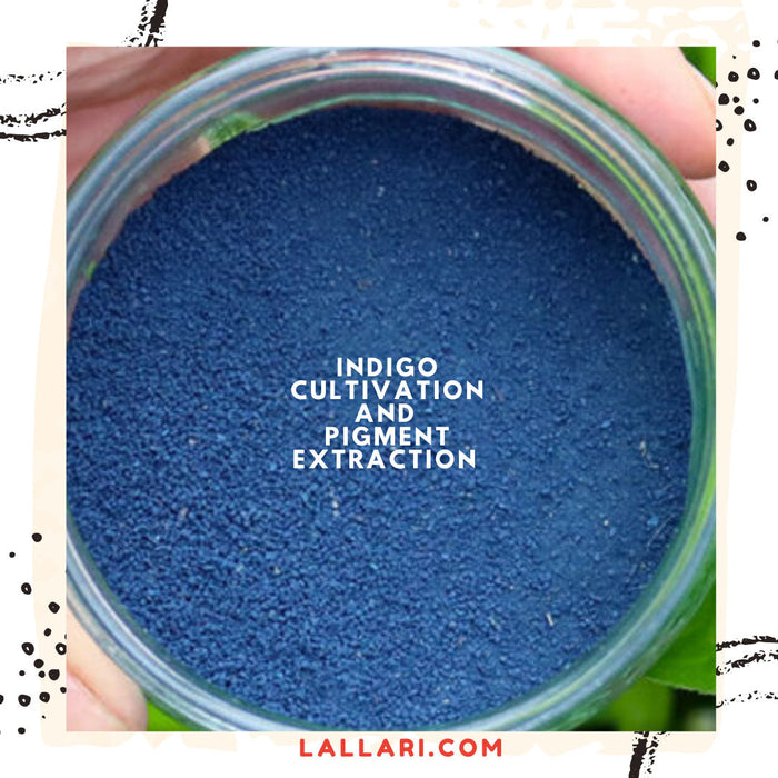 Natural Dyes & DIY Kits